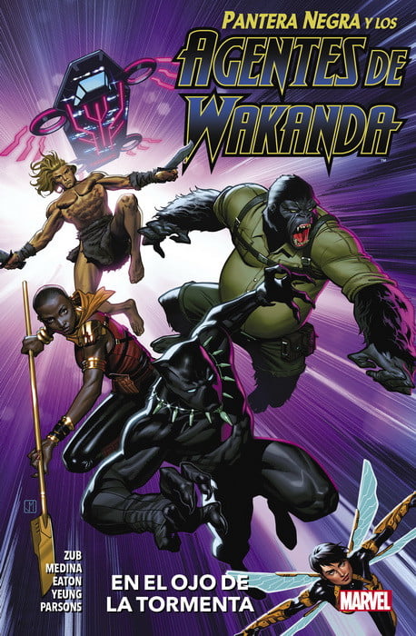 Pantera Negra y los agentes de wakanda